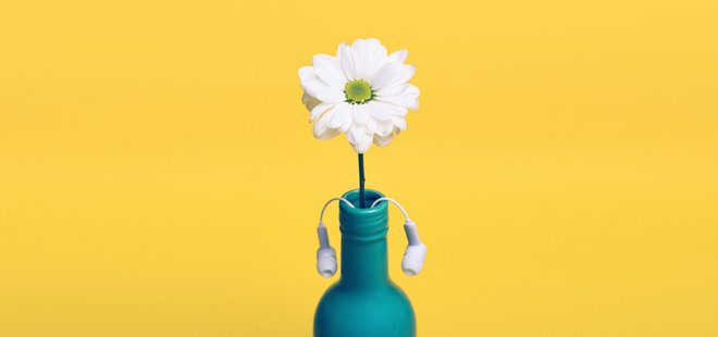 gallery/yellow-926708_1280